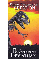 Fossil Evidence of Creation (DVD)