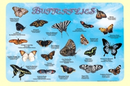 Placemat: Butterflies