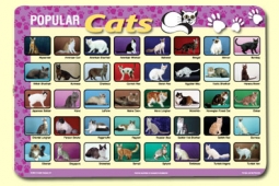 Placemat: Cats