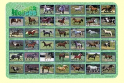 Placemat: Horses